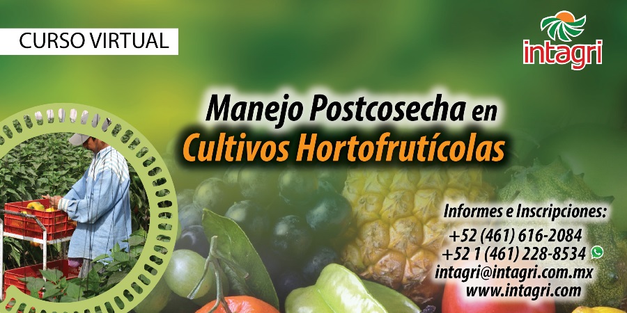 Manejo Postcosecha en Cultivos Hortofrutícolas Inicio Intagri S C